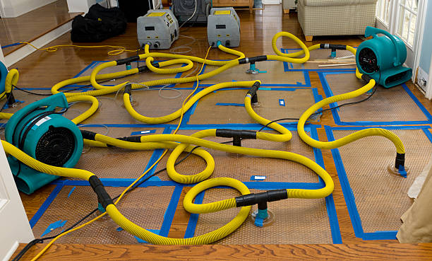 Professional Burst Pipe Water Damage technician working in Adamstown, PA